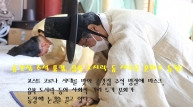 종갓집 추석 풍경, 음복 도시락 등 새로운 문화로 등장!