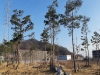 김천시, 그린뉴딜 정책과 연계한 미세먼지 차단숲 조성