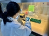 경북도, 6월1일부터 코로나 변이 바이러스 검사