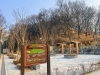 달성군, 오감 만족 '명곡숲 산림욕장' 11일 개장!