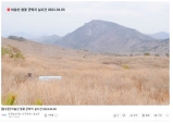 달성군, 비슬산 참꽃 개화상황…유튜브 라이브로!