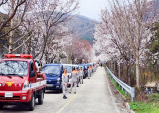 군위군 소보면, 벚꽃과 산불 예방 차량 가두 캠페인